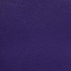 Cutlass Purple